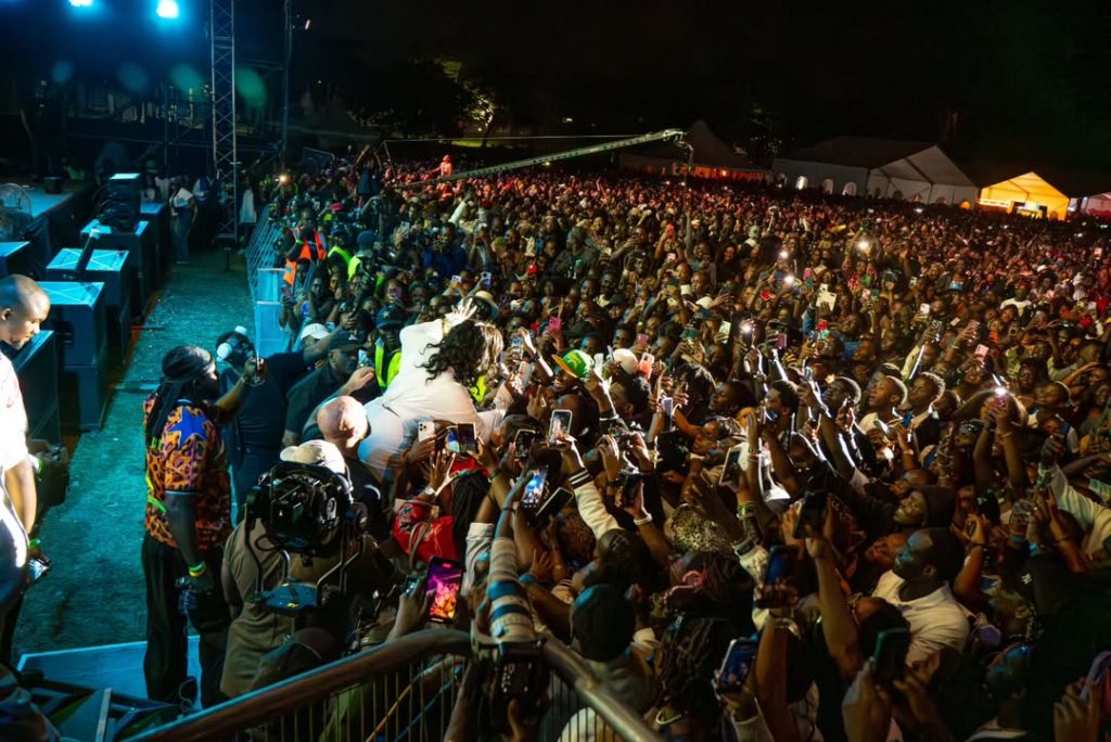 Tems Blankets And Wine 