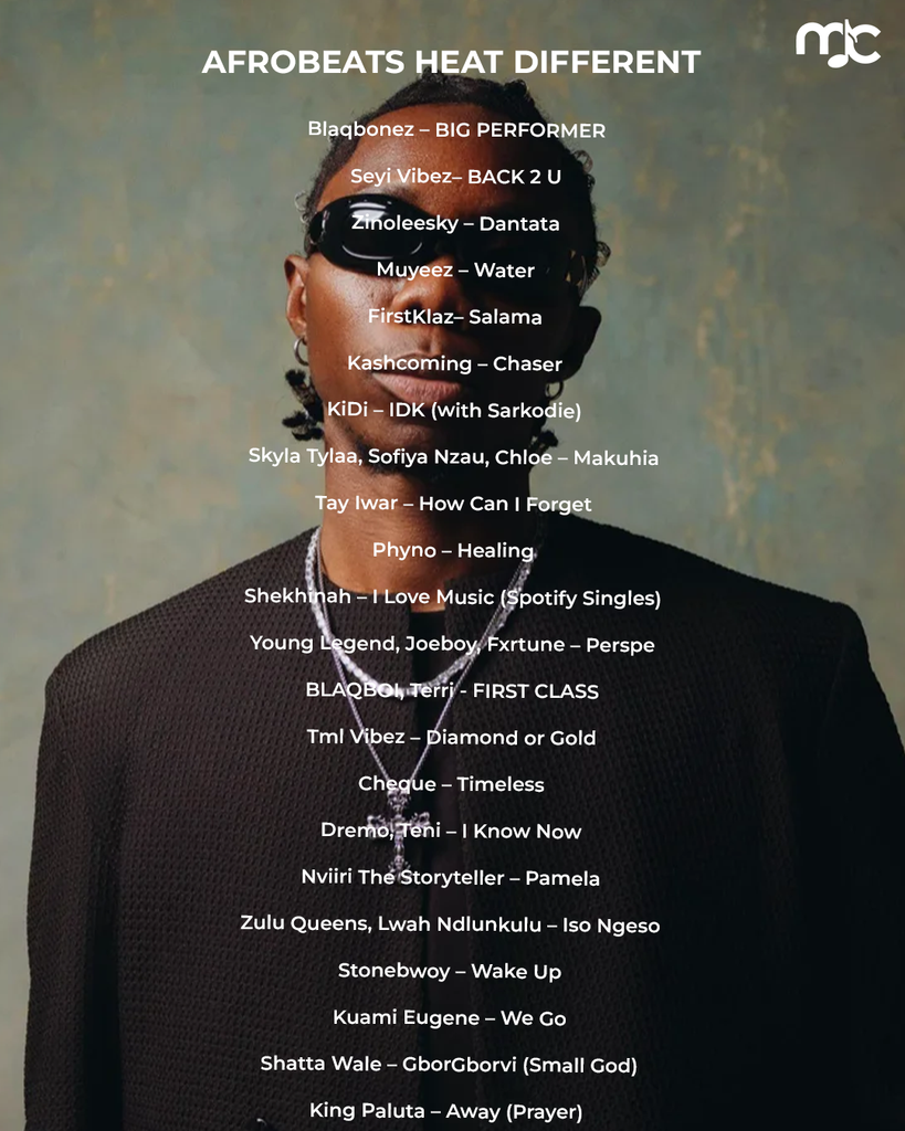 Music Custodian's Afrobeat Heat Different